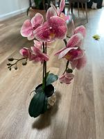 Verkaufe unechte Orchidee Brandenburg - Cottbus Vorschau