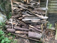 Holz Brennholz zu verschenken Nordrhein-Westfalen - Detmold Vorschau