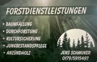Forstdienstleistungen, Baumfällung, Waldarbeit, Durchforstung Baden-Württemberg - Heroldstatt Vorschau