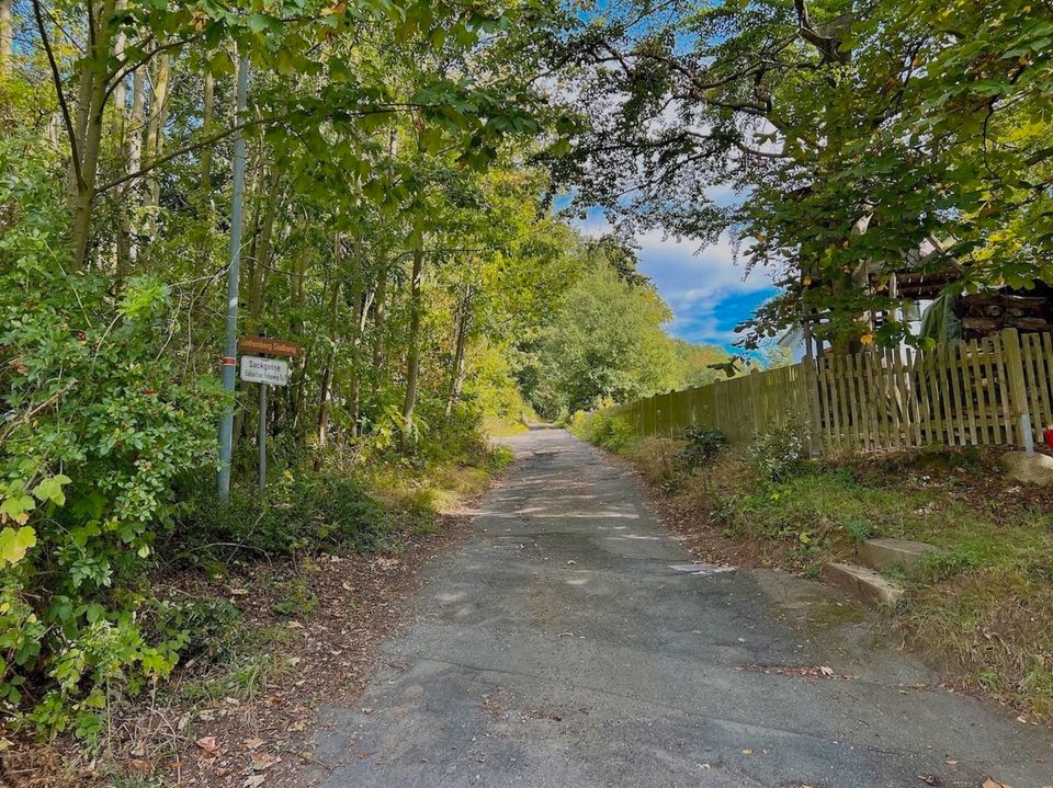 Bad Salzdetfurth  |  Dies könnte Ihre Aussicht sein! Baugrundstück auf Südhang in Bad Salzdetfurth