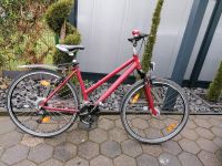 Trekking Fahrrad Niedersachsen - Edewecht Vorschau