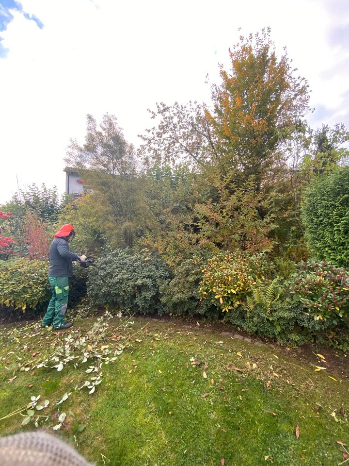 Pflasterarbeiten Baumfällungen Gartenbau in Hemer