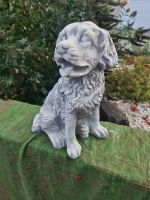 HUNDEFIGUR aus VOLLBETON Niedersachsen - Lengede Vorschau