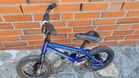 Bmx 12 Zoll Schleswig-Holstein - Reinfeld Vorschau