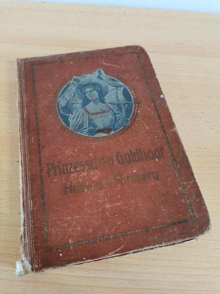 sehr altes antiquarisches Buch - um 1910 in Helmbrechts
