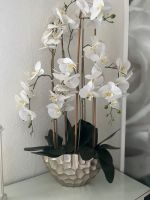 Deko Orchidee von QVC Brandenburg - Erkner Vorschau