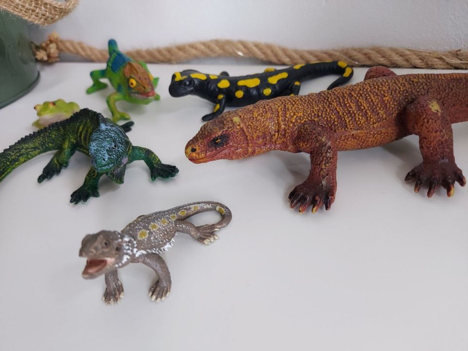 Schleich Bartagame 14675 Leguan Iguana Reptil Bullyland Echse RAR in Nettetal