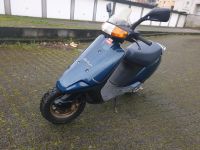 Aprillia Amico Roller 50cc Sport Nordrhein-Westfalen - Recklinghausen Vorschau