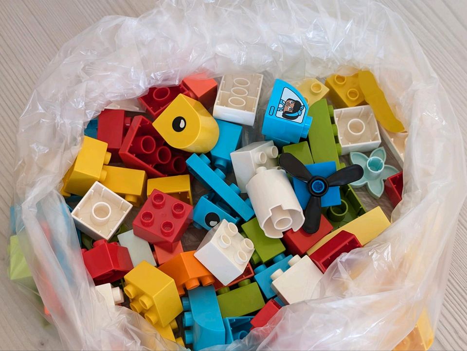 Lego Duplo Sammlung "Konvolut" in Theeßen