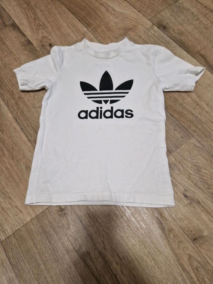 Adidas Shirt Gr.116 Name Leon in Magdeburg