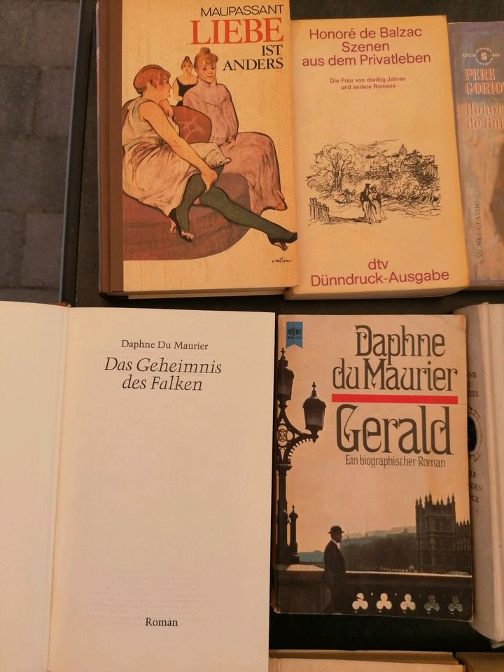 Buch Dostojewskij Schnitzler Eichendorff Maurier Stendhal Balzac in Frankfurt am Main