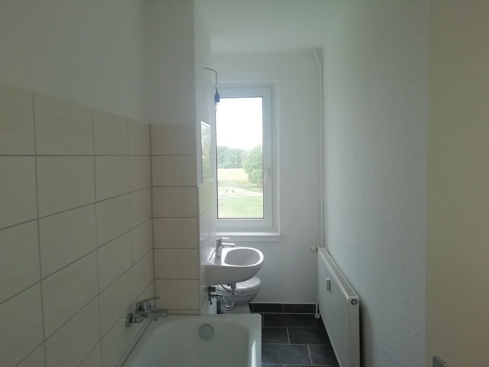 Galenbeck Renovierte 2 Zimmer Wohnung. in Schwichtenberg