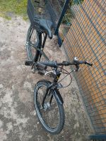 Falter FX 403 pro Fahrrad  24 Zoll Nordrhein-Westfalen - Rheine Vorschau