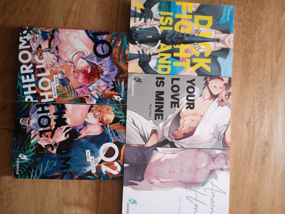 Hayabusa Boyslove Mangas Komplett Set in Zwickau