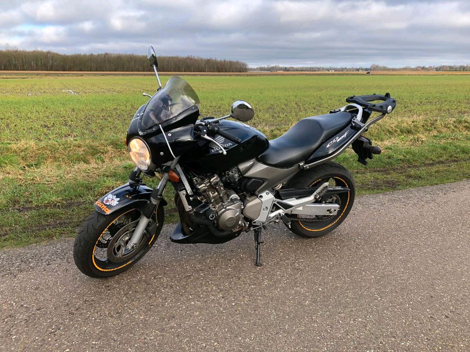 HONDA CB 600 F HORNET in Haren (Ems)