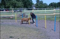 Kindergeburtstage Nordrhein-Westfalen - Salzkotten Vorschau