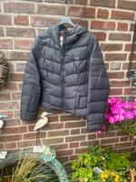 Hollister Daunenjacke Nordrhein-Westfalen - Wesel Vorschau