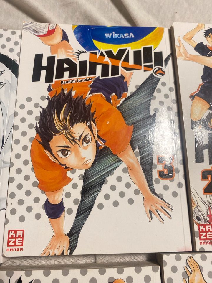 Haikyuu mangas in Neustadt an der Aisch