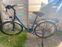 Rixe Damenfahrrad 28Zoll Tiefeinsteiger Schleswig-Holstein - Krummwisch Vorschau