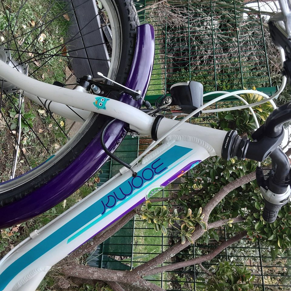 Fahrrad 26 Zoll mit Korb, Mädchen (niedrige Rahmenhöhe, 36cm) in Sankt Augustin