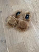 Zara Fell Schuhe 41 neu Wandsbek - Hamburg Jenfeld Vorschau