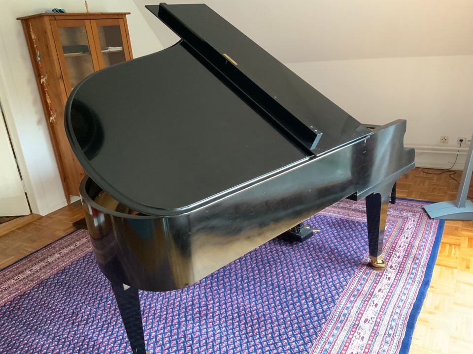 Bechstein-Flügel B203 in Preetz