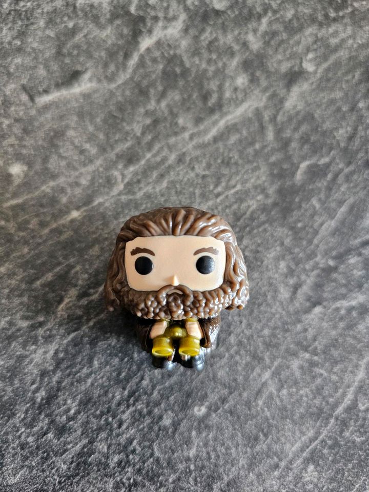 Funko Pop Harry Potter Hagrid Kinder Joy Serie 2 in Reichenbach (Kreis Birkenfeld)