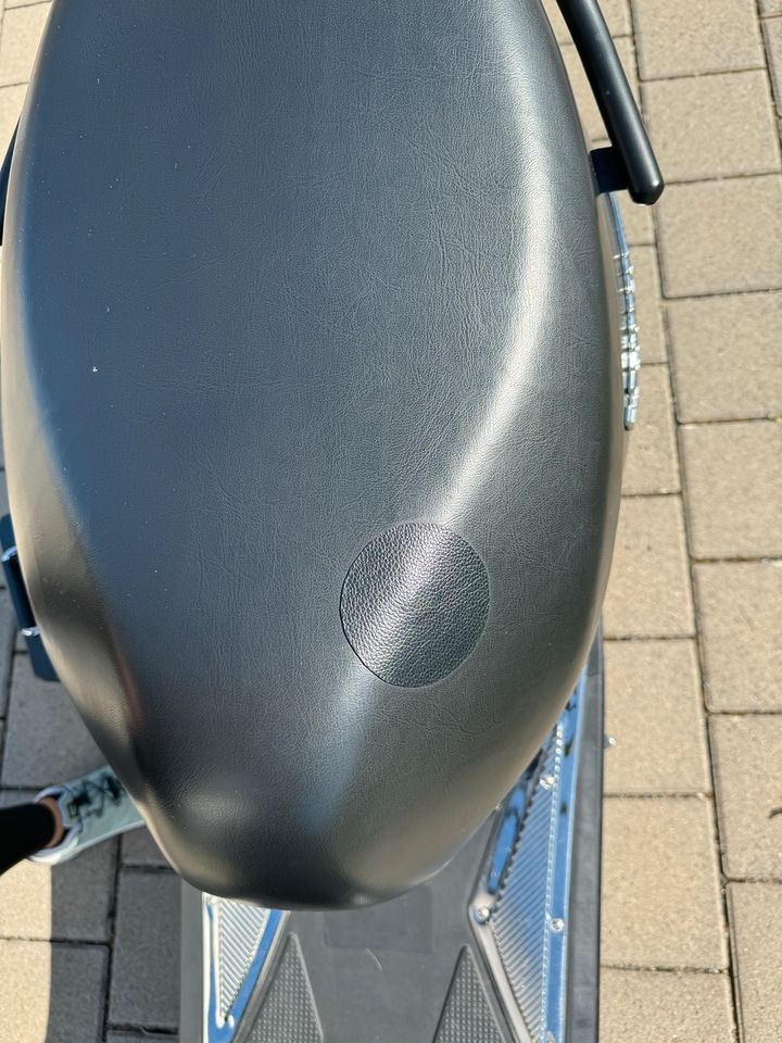 Elektroroller escooter Futura in Mannheim