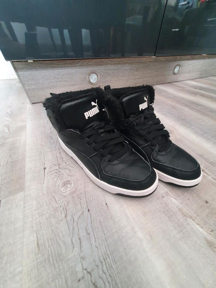 Puma Schuhe warm Gr.40 TOP in Hamm (Sieg)