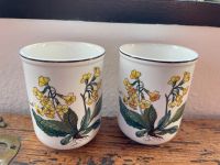 2 saftbecher von villeroy & boch botanica mit Schlüsselblumen München - Ludwigsvorstadt-Isarvorstadt Vorschau