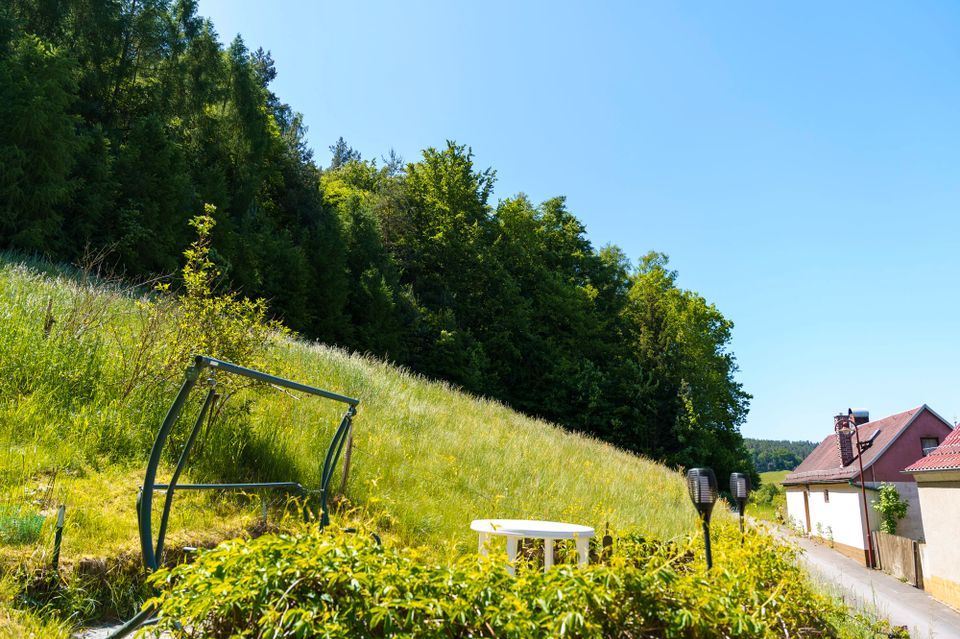 Wohnen in (fast) Alleinlage mit 1 Hektar Wald & Wiese - Naturnahes Einfamilienhaus zur Sanierung in Pössneck