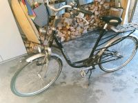 Fahrrad von Rabeneick 28 zoll Niedersachsen - Dannenberg (Elbe) Vorschau