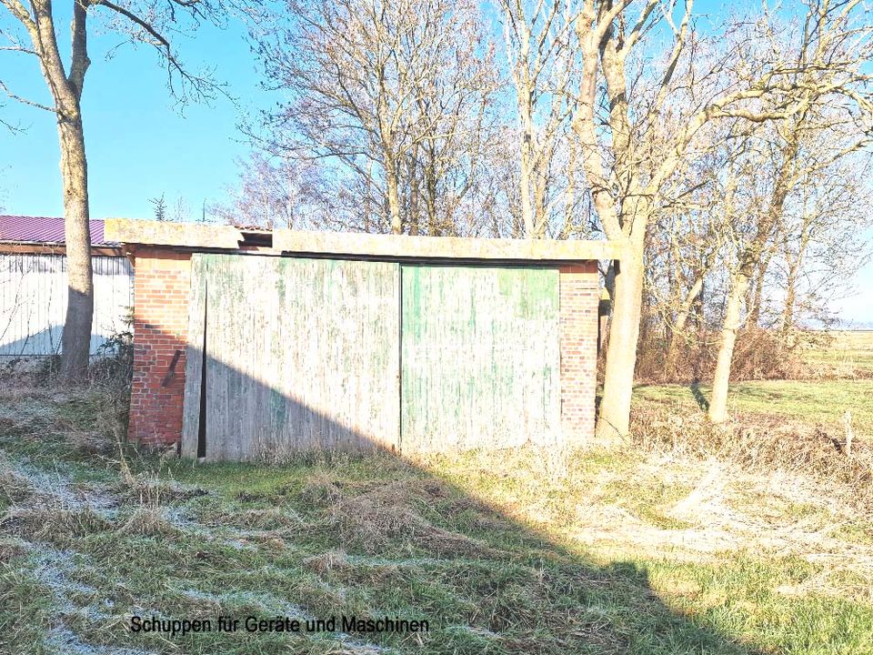 Idyllischer Resthof zum Renoverien mit Wiese am Ortsrand in Averlak