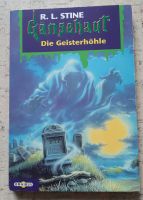 Jugendroman Gänsehaut Die Geisterhöhle R. L. Stine München - Allach-Untermenzing Vorschau