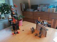 Playmobil Novelmore Rambock und Burganlage Sachsen - Auerbach (Vogtland) Vorschau