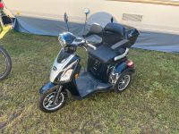 Rolektro E-Trike 25 V.3 Lithium schwarz Thüringen - Ronneburg Vorschau