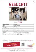 Katze gesucht! Wer hat Frido gesehen? Hessen - Melsungen Vorschau