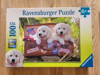 Ravensburger Puzzle XXL 100 Teile 6+ Hundewelpen Nordrhein-Westfalen - Neuss Vorschau