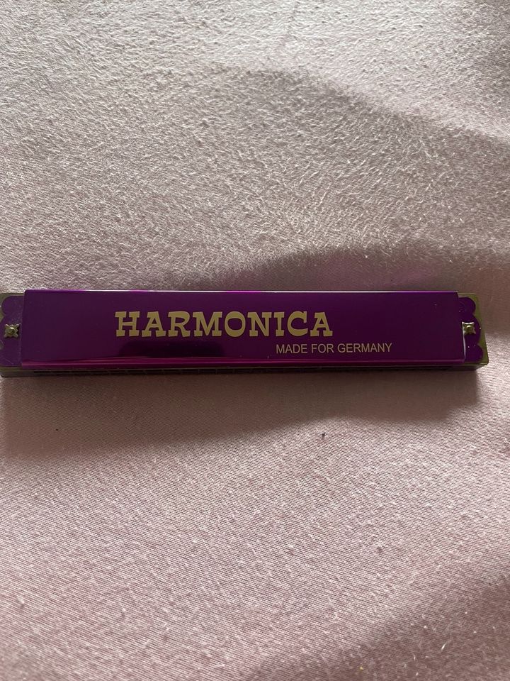 Mund Harmonica in München