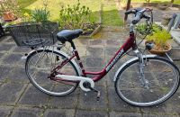 Damenfahrrad 28“ 7 Gang Drehgriffgschaltung Rahmenhöhe 45cm rot Hessen - Gernsheim  Vorschau