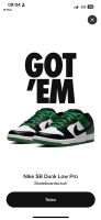 Sb dunk low pro Classic green Marburg - Wehrda Vorschau