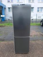 Kühlschrank Siemens A ++ H180cm T60cm B60cm Berlin - Lichtenberg Vorschau