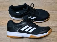 Adidas Hallenschuhe US13 EU47 Frankfurt am Main - Nieder-Erlenbach Vorschau