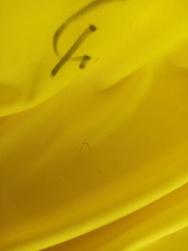 BVB Trikot 12/13 Teamsigniert Borussia Dortmund Autogramm Puma XL in Lünen