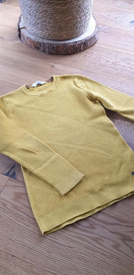 Pullover H&M gelb Gr. 134/140 in Großolbersdorf