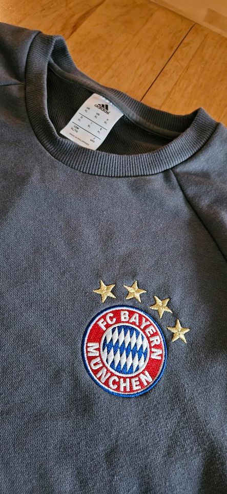 Adidas FC Bayern Pullover XL in Wartenberg