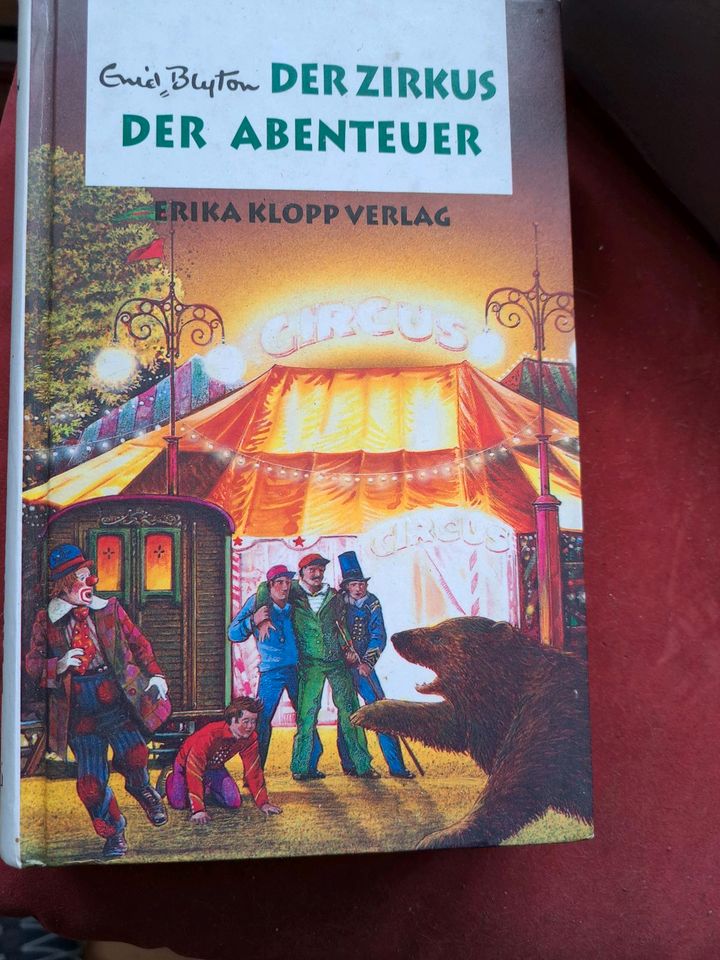 4 Jugend ,Abenteuer bücher in Neumagen-Dhron