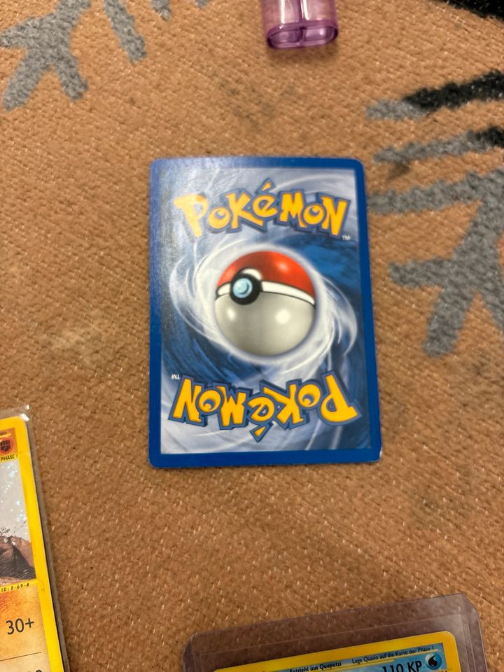 Azumaril skyridge pokemon Pokémon in Lehre