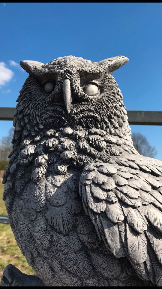 XL Eule 56cm 50kg UHU Eulen Schleiereulen Kautz Schneeeule Adler in Saarbrücken