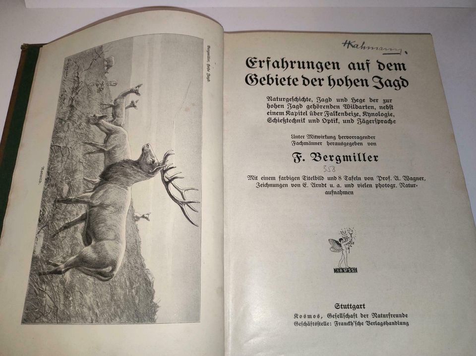 Erfahrungen auf dem Gebiete der hohen Jagd 1912 in Floh-Seligenthal-Kleinschmalkalden